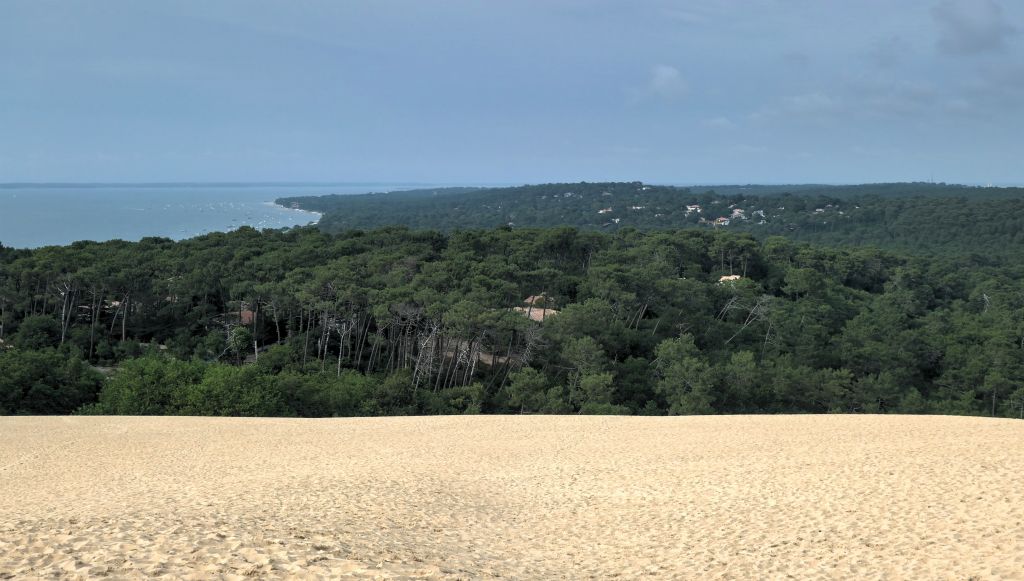 The view looking north towards Arcachon, where we would be headed shortly to look for our next hotel.