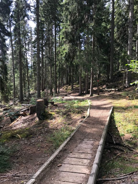 Despite the trail being around Crans-Montana, the bits between the lakes were predominantly on these picturesque woodland trails, which was very nice.
