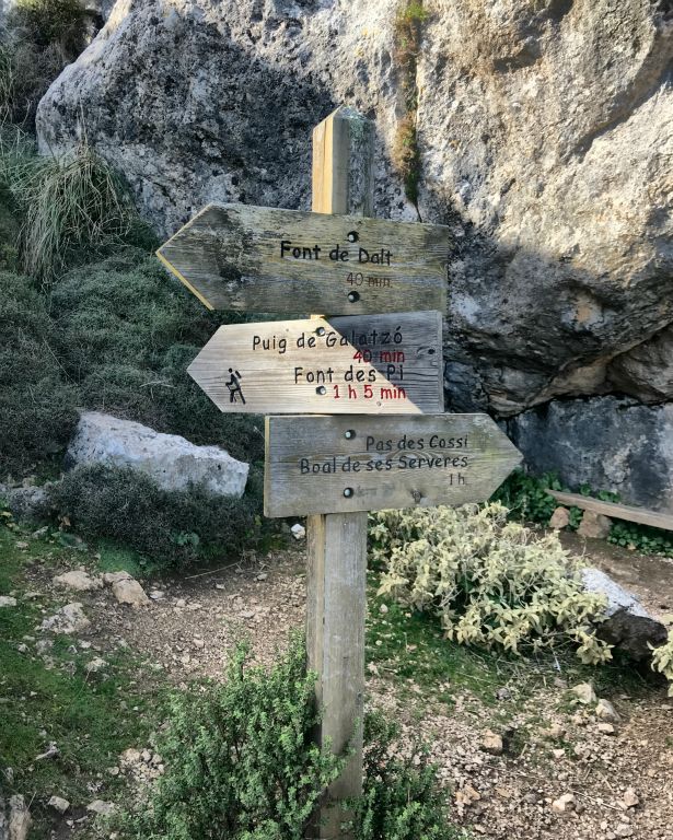A rare and handy signpost pointing the way to the top.