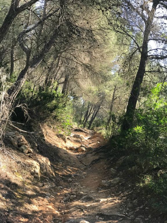 It turned out that most of the network of abandoned roads was closed off with barriers and no entry signs, so I headed for Port Andratx instead. I spent a few minutes walking on this rough trail...