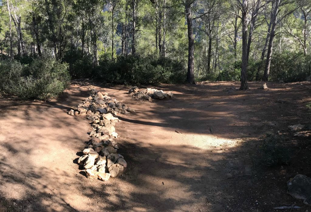 At one point the path forked and it wasn't obvious whether I should head left or right. Until I spotted the 15 foot long rock arrow on the ground pointing up the left fork. Doh!