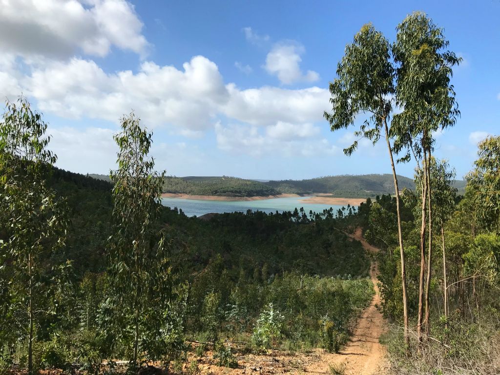 After walking along the bank of the reservior for half an hour or so, the trail turned inland and started to climb into the hills. The reservoir is still visible in the distance.
