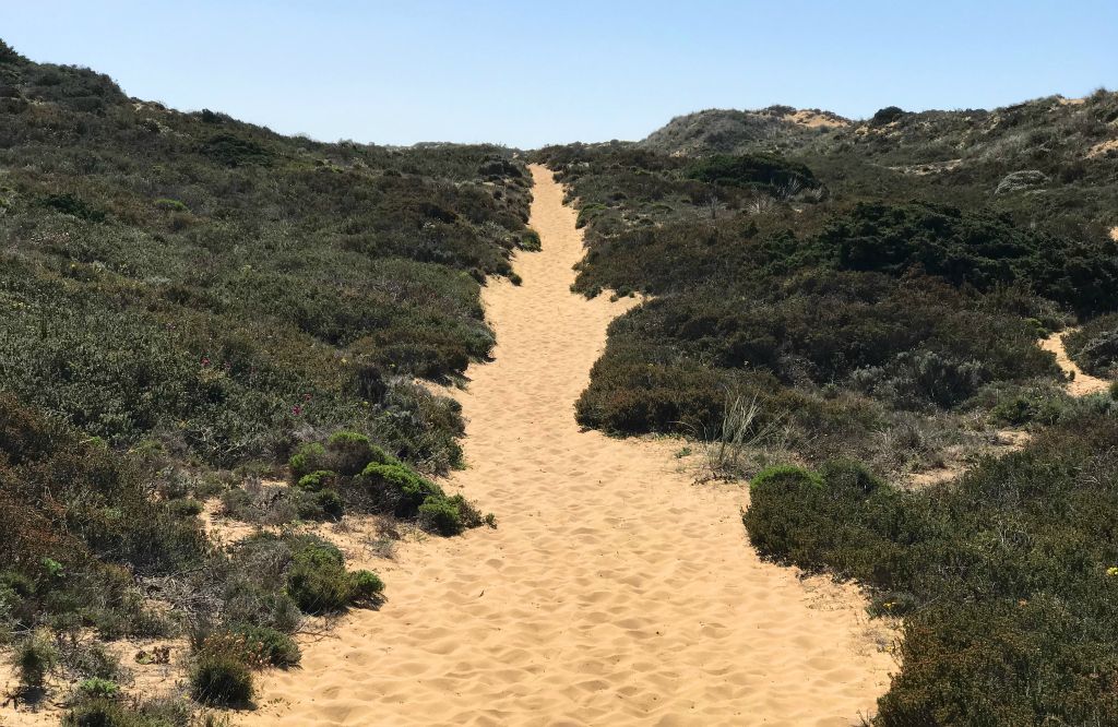 The last mile or so of the trail was gently uphill along this soft sand path. Walking uphill on the soft sand was quite hard going, especially in the blazing sunshine and I was very glad to get back to the air conditioned comfort of my car.