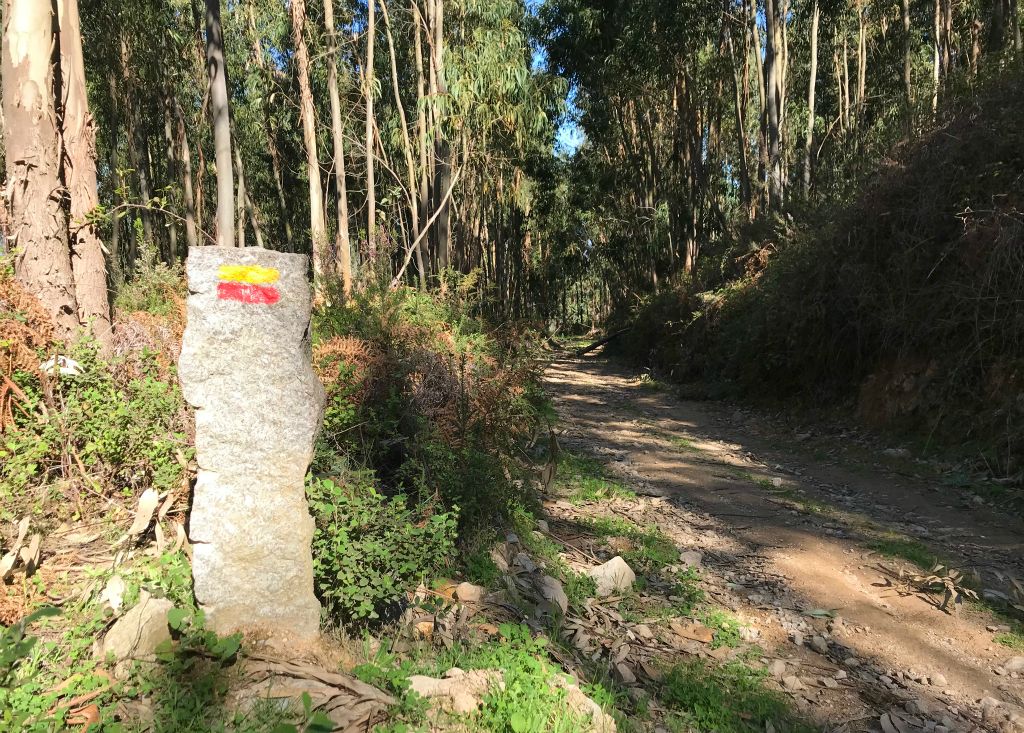 Then I was back onto a very well marked trail. These stone posts appeared every couple of hundred yards to indicate which way I should, or should not, go.