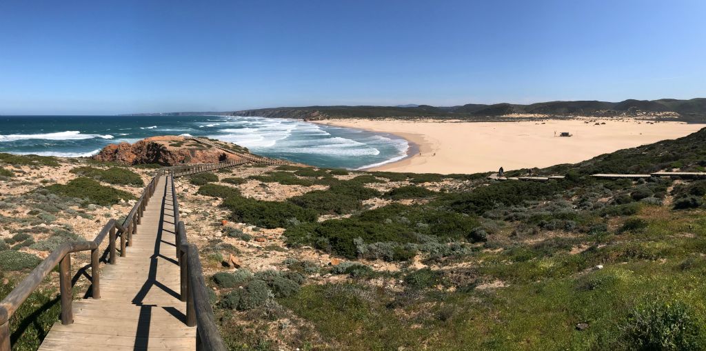 Rather than finish with a picture of the inside of a plane, I've repeated the picture of the lovely Praia da Bordeira from Saturday. The weather has been super all week and I've had a brilliant time.Total distance walked this week - 58.1 miles (93.4 km)Total ascent this week - 9006 feet (2745 m)Total descent this week - 9006 feet, (2745 m)The rest of the gallery contains photos of some of the lovely flowers I've observed during my walks this week.