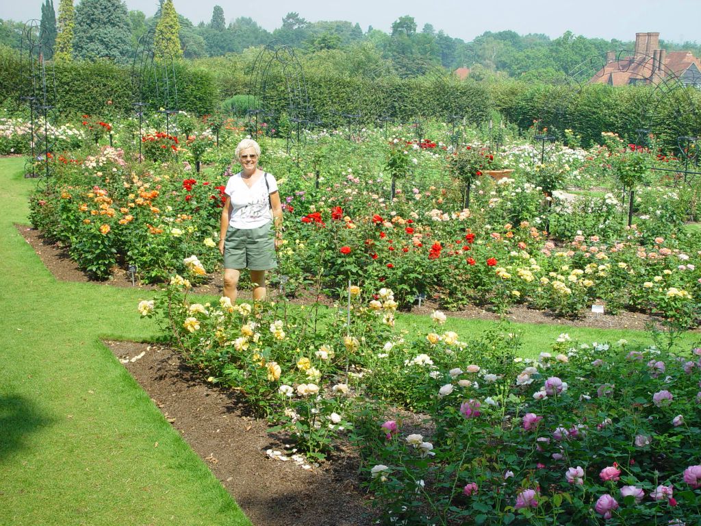 August 2003. A day out at Wisley. It was very, very hot.