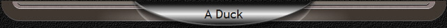 A Duck