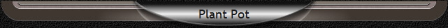 Plant Pot
