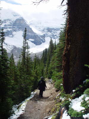 Towards the Plain of the Six Glaciers